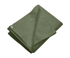 Tentas, žalios spalvos, 4x5m, 260g/m², HDPE