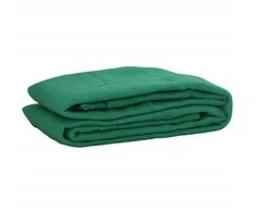 Tinklas priekabai, žalias, 2x3,5m, HDPE