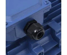 Trifazis elektros variklis, 2,2kW/3AG, 2 polių, 2840aps./min.