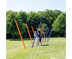 TRIXIE Agility Slalomo treniruoklis, 12 stulpų, 115 cm, plastikas, 3206