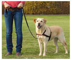 TRIXIE Petnešos Lead'n'Walk Soft, juodos, 65-105cm, L-XL dydžio, 13057