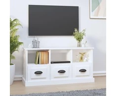 TV staliukas Televizoriaus spintelė, balta, 100x35x50cm, apdirbta mediena
