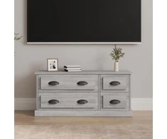 TV staliukas Televizoriaus spintelė, pilka ąžuolo, 100x35,5x45cm, mediena