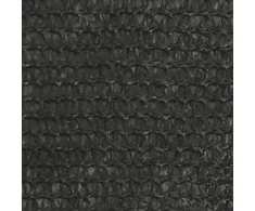 Uždanga nuo saulės, antracito spalvos, 2,5x4,5m, HDPE, 160g/m²