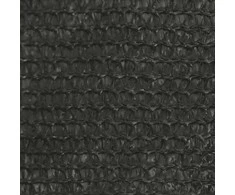 Uždanga nuo saulės, antracito spalvos, 3x3x3m, HDPE, 160g/m²