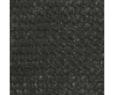 Uždanga nuo saulės, antracito spalvos, 5x5x6m, HDPE, 160g/m²