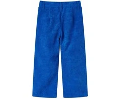 Vaikiškos kelnės, kobalto mėlynos spalvos, velvetas, 104 dydžio