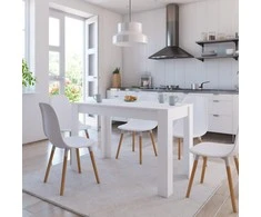 Valgomojo stalas, baltos spalvos, 120x60x76cm, apdirbta mediena