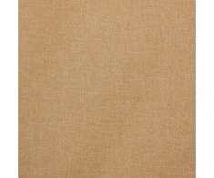 Vežimėlis dvynukams, taupe spalvos, plienas