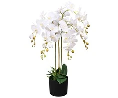 Dirbtinė orchidėja su vazonu, 75 cm, balta