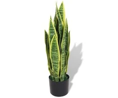 Dirbtinė Sansevjera su vazonu, 65 cm, žalia