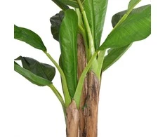 Dirbtinis bananmedis su vazonu, 175 cm, žalias