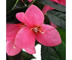 Dirbtinis rododendras su vazonu, 150 cm, žalias ir rožinis