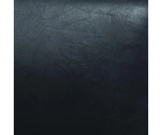 Dvivietė sofa, dirbtinė oda, juoda