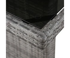 Sodo stalas, 240x90x74cm, poliratanas ir stiklas