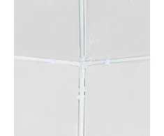 Proginė palapinė, 3x3m, balta