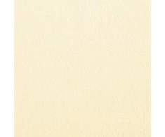 Sulankstoma šoninė terasos markizė, krem., 400x200cm