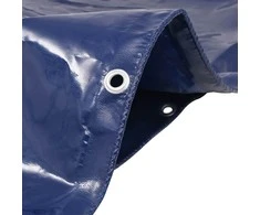 Tentas, 650g/m², 3x3m, mėlynas
