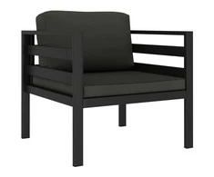 Vienvietė sofa su pagalvėlėmis, antracito spalvos, aliuminis