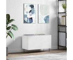 Vinilinių plokštelių spintelė, balta, 74,5x38x48cm, mediena