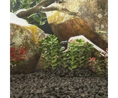 Vulkaninės uolienos, juodos spalvos, 25kg, 5-8cm
