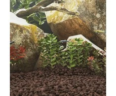 Vulkaninės uolienos, raudonos spalvos, 25kg, 5–8cm
