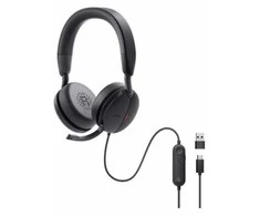 Ausinės WH5024/520-BBGQ DELL