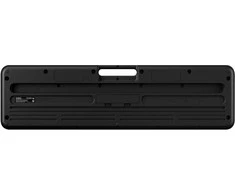 Sintezatorius Casio CT-S100 su akompan.
