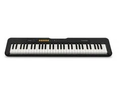 Sintezatorius Casio CT-S100 su akompan.