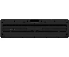 Sintezatorius Casio LK-S450