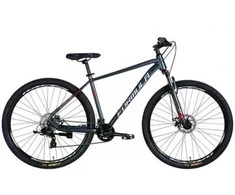 FORMULA 29" THOR DD CS 17" Dark Pilkas / Sidabrinis 2025