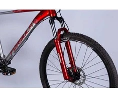 Dviratis AL 29" Formula ZEPHYR 1.0 DD CS rėmas-21" raudonas+sidabrinis 2024 m.