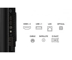 TCL P8K 55P8K 55 colių 4K QLED HDR išmanusis televizorius