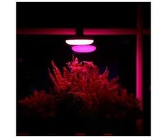 Visional 15W UFO Filament Fito LED Audzēšanas Spuldze A60 E27 Pilnīgs Spektrs 28.39 µmol/s Augu Augšanas Gaisma