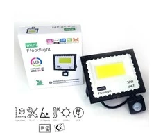 30w LED prožektorius su judesio davikliu 6500k mINI IP67