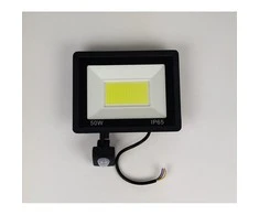 50w LED prožektorius su judesio davikliu miNi IP65