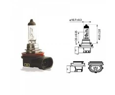 Philips Lemputė 55W 12V PGJ19-2 H11