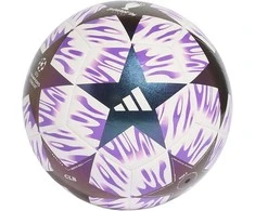Futbolo kamuolys adidas UCL 25/26 Final Club balta ir-violetinė JX9093 (5)