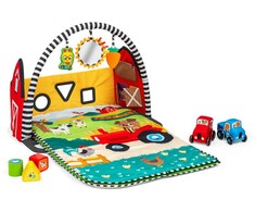 Baby Einstein Mažylis Einšteinas – „Busy Barnyard™“ – augimo su manimi žaidimų aikštelė (BE-17327)