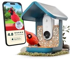 BirdBuddy – išmanusis paukščių tiektuvas 2.0 Mėlyna su saulės kolektorius