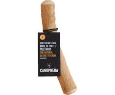 Canophera - kavamedis 18-22 cm ilgio - (CANO0123)
