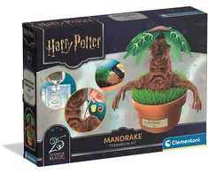 Clementoni - Mandrake - Terrarium Kit (I-19458)
