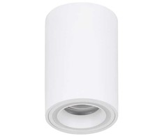 Eglo - Carossa-Z išmanusis prailginamasis pakabinamas šviestuvas – baltas Ø8 – RGB + baltas – Zigbee ir Bluetooth