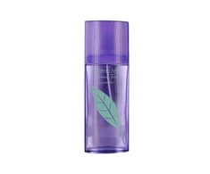 Moteriški kvepalai Elizabeth Arden Žalias Tea Lavender 100ml