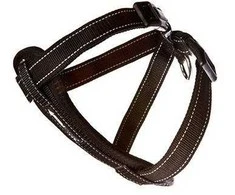 Ezydog – neopreno juodos spalvos M 10–19 kg diržai vaikščiojimui / automobiliui – (605.0318)