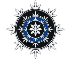 Fanatik „Dungeons Dragons“ riboto leidimo „Neverwinter“ heraldikos medalionas