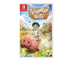 Galaxy Games Everdream slėnis – Nintendo jungiklis