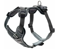 Hunter – Divo L diržai, pilka/pilka – (67623)