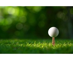 Kikkerland – Gopher Golf Tee S/6