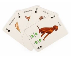 Kikkerland - Paws &amp; Play žaidimo kortos - (GG274)